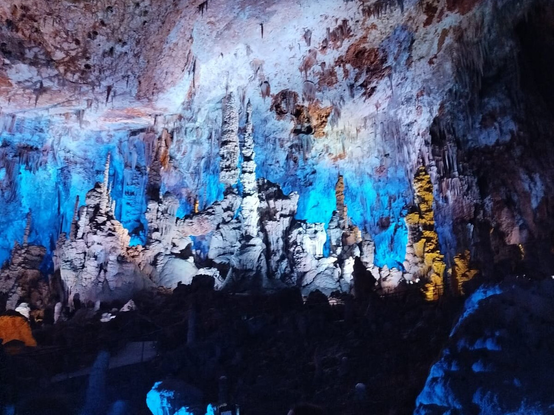 Grotte de la Salamandre-Mejannes-le-Clap必去景点