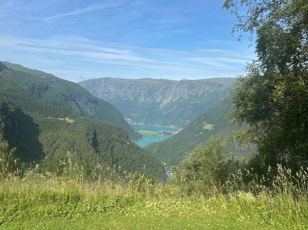 Fuglesteg-Skjolden必去景点