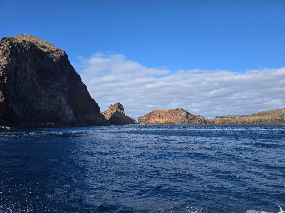 Madeira Sea Emotions Boat Tours-卡尼卡尔必去景点
