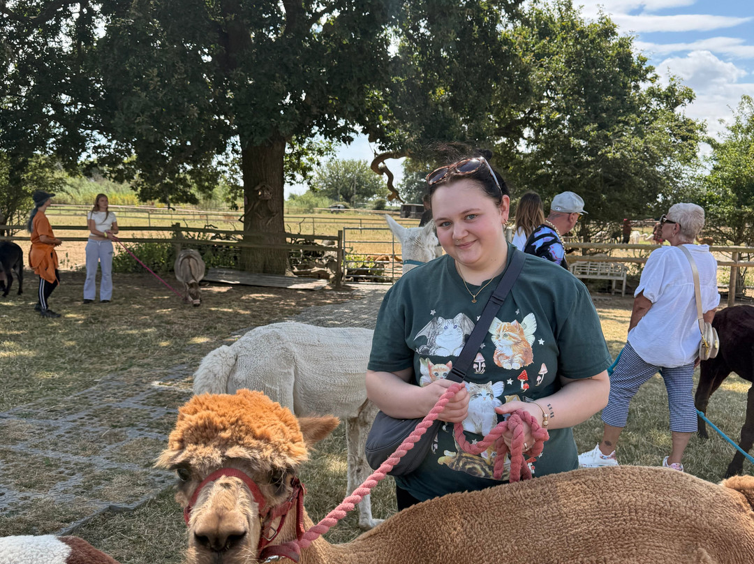 Lucky Tails Alpaca Farm-Atherstone必去景点