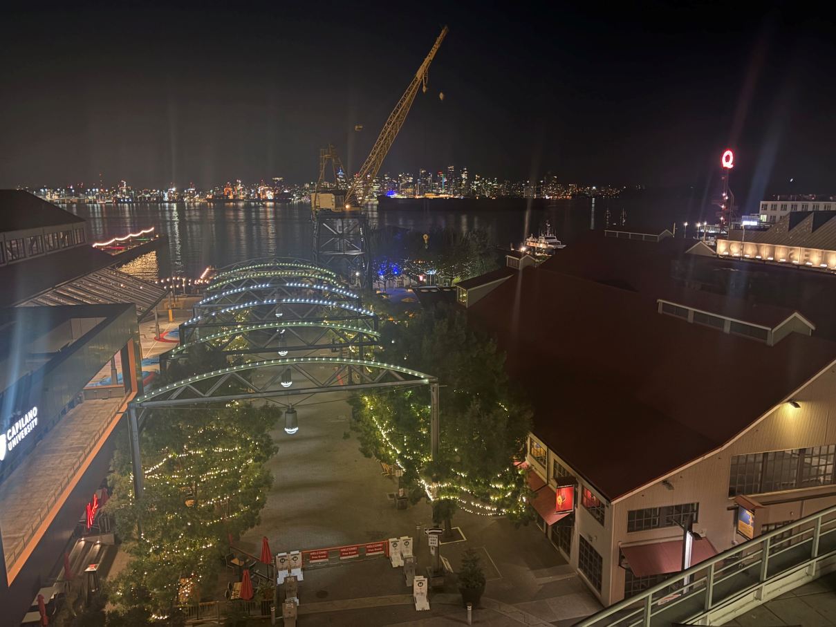 顶峰码头酒店-旅行者