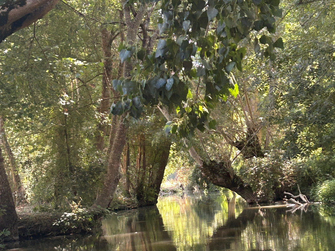 Embarcadere Cardinaud - Marais poitevin-Nouvelle-Aquitaine必去景点