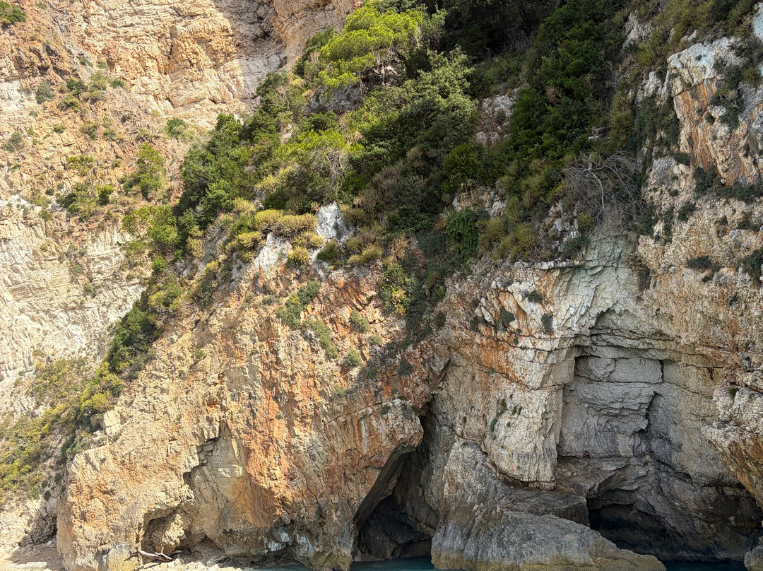 Zante Rent Boats-Agios Nikolaos必去景点