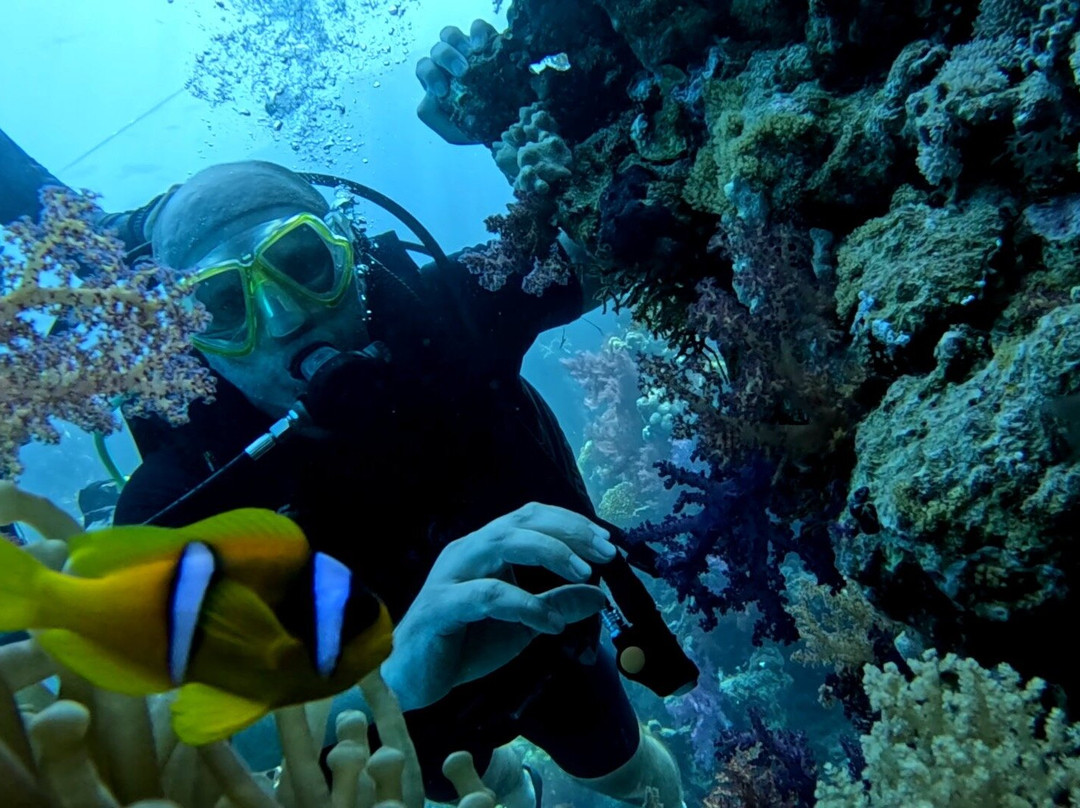 Hunter Divers
