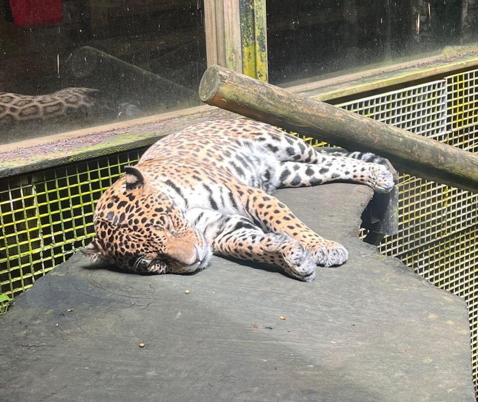 Zoo De Guadeloupe Au Parc Des Mamelles-Bouillante必去景点