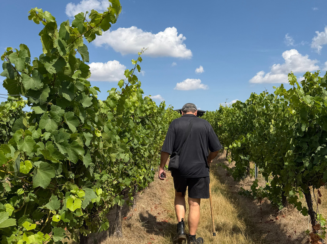 Woodchurch Vineyard-Woodchurch必去景点
