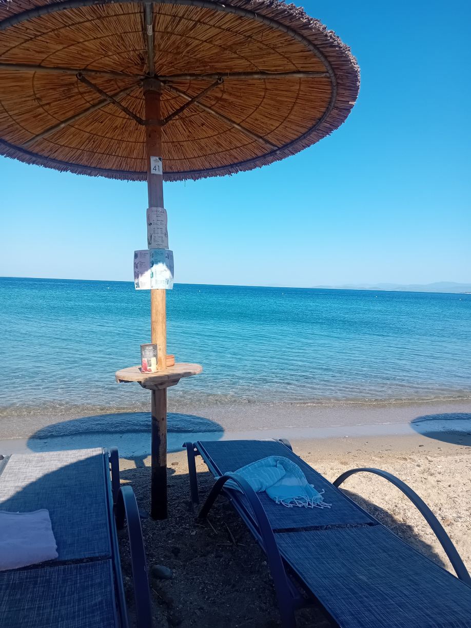 梅里顿旅馆套房酒店-旅行者