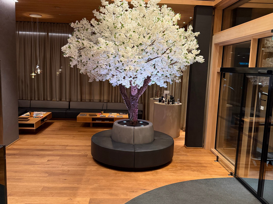 Sonne Mellau - Feel Good Hotel主图
