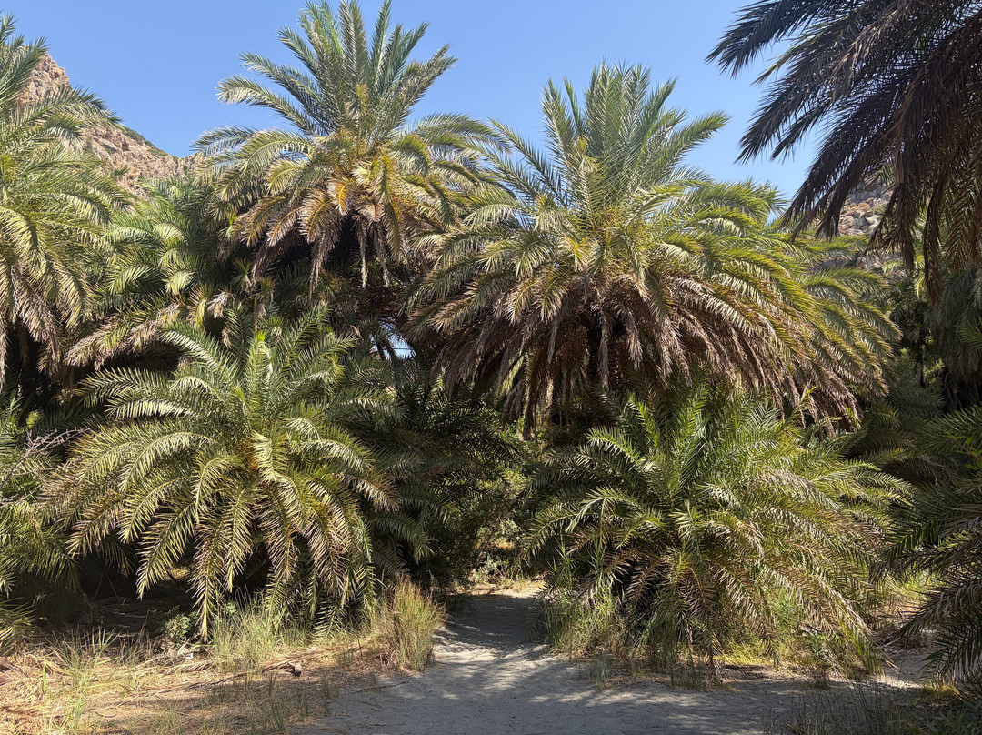 Preveli Beach-Plakias必去景点