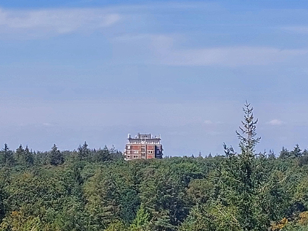 Park Berg en Bos-阿珀尔多伦必去景点