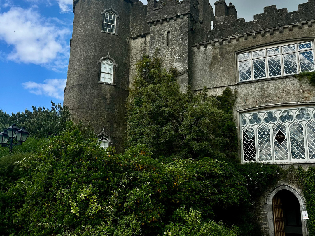 Malahide Castle & Gardens-马拉海德必去景点