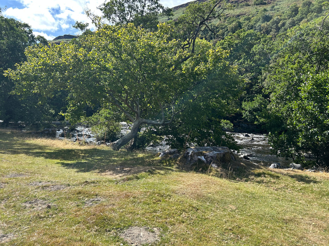 Elan Valley-Rhayader必去景点