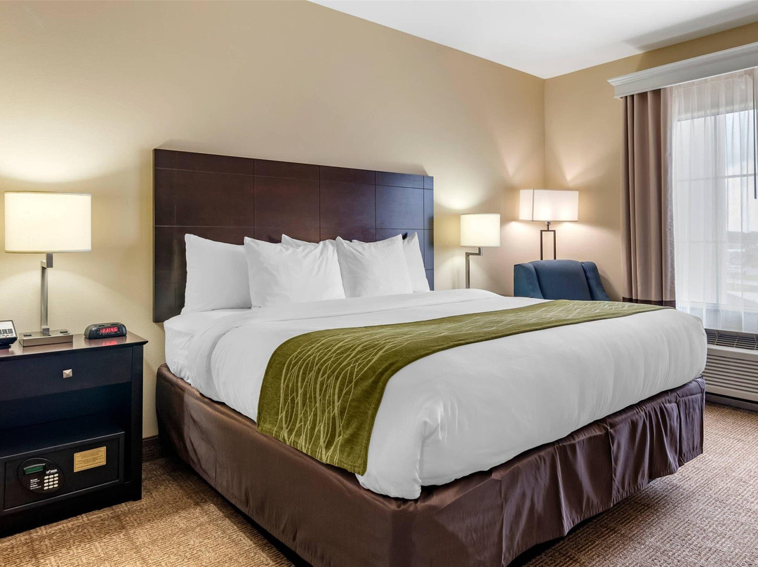 Duson酒店住宿-Comfort Inn & Suites Scott-West Lafayette