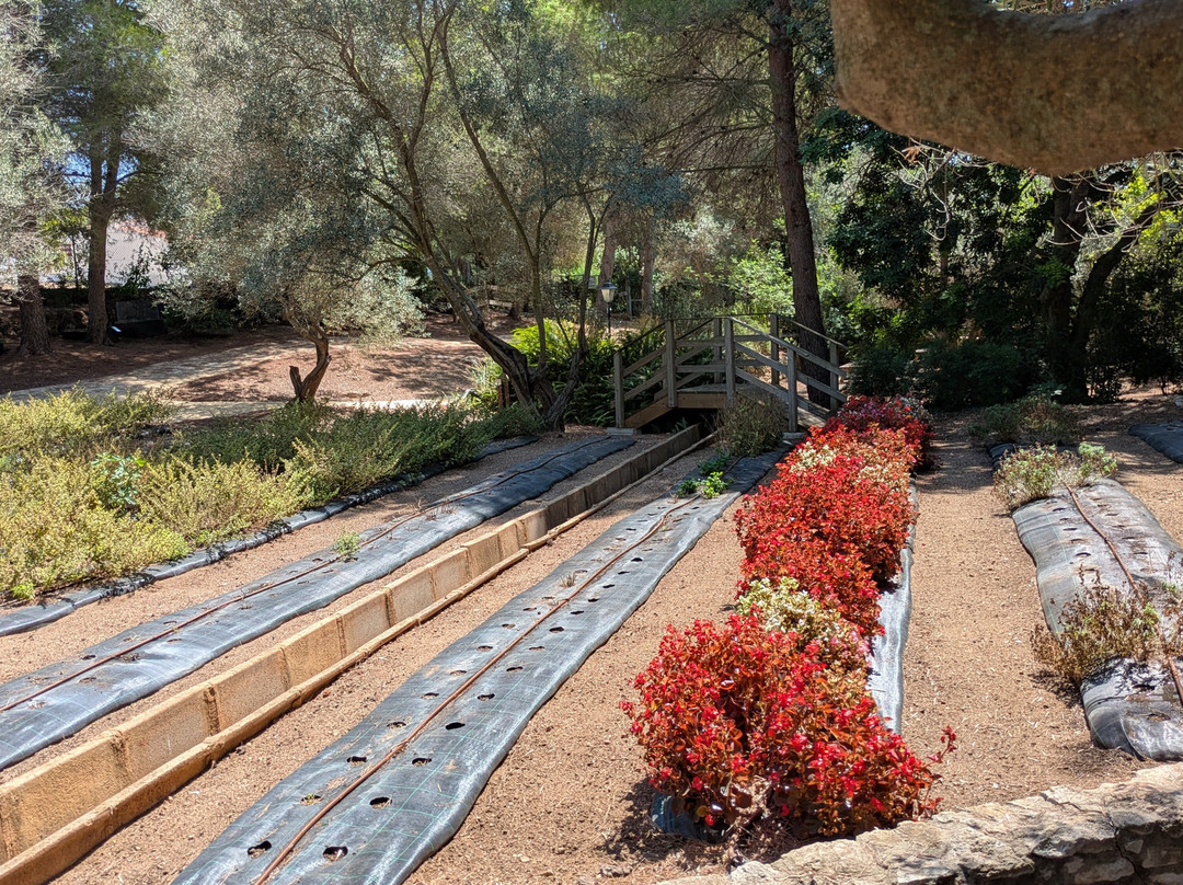 Botanical Garden Ecoherbes Park-L'Ampolla必去景点