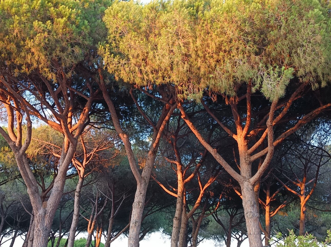 Golfo di Maremma Village主图