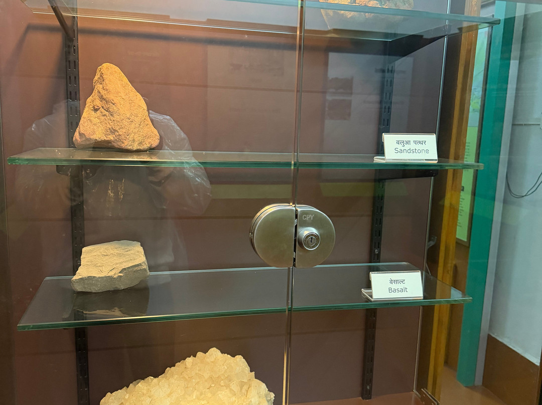 Bison Lodge Museum-潘恰玛必去景点