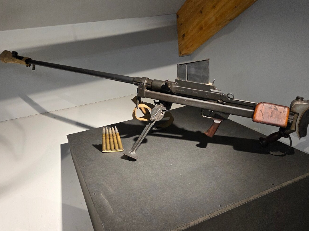 Bastogne War Museum-巴斯东必去景点