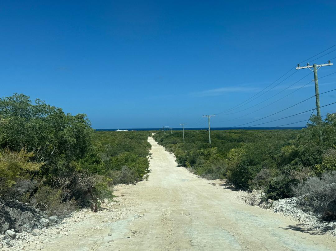 Malcolm's Road Beach-普罗维登西亚莱斯必去景点