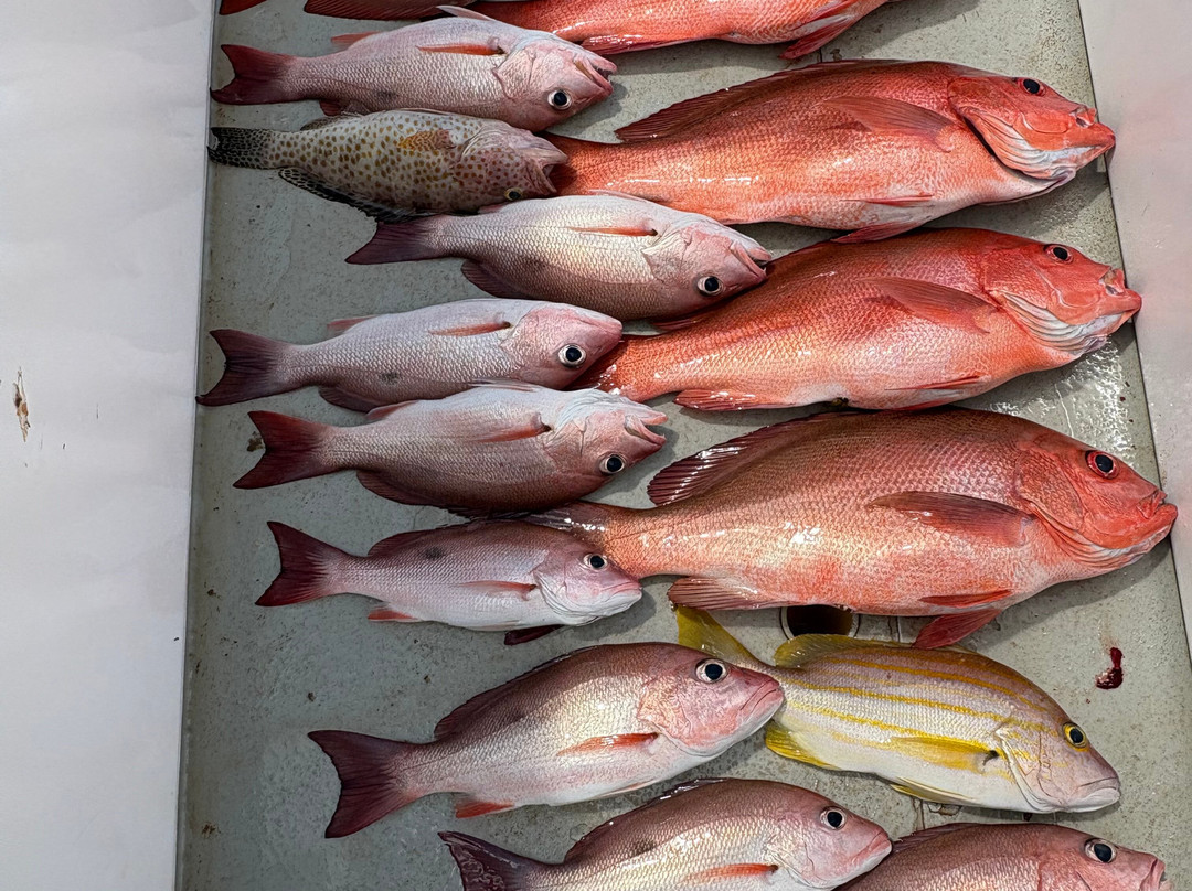 Anglers Choice Fishing Safaris-达尔文市必去景点