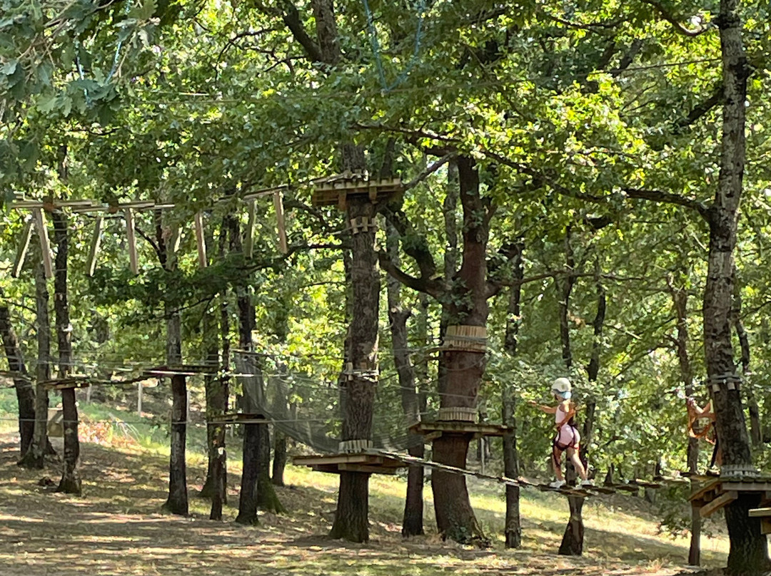 Parco Avventura Postiglione-Postiglione必去景点