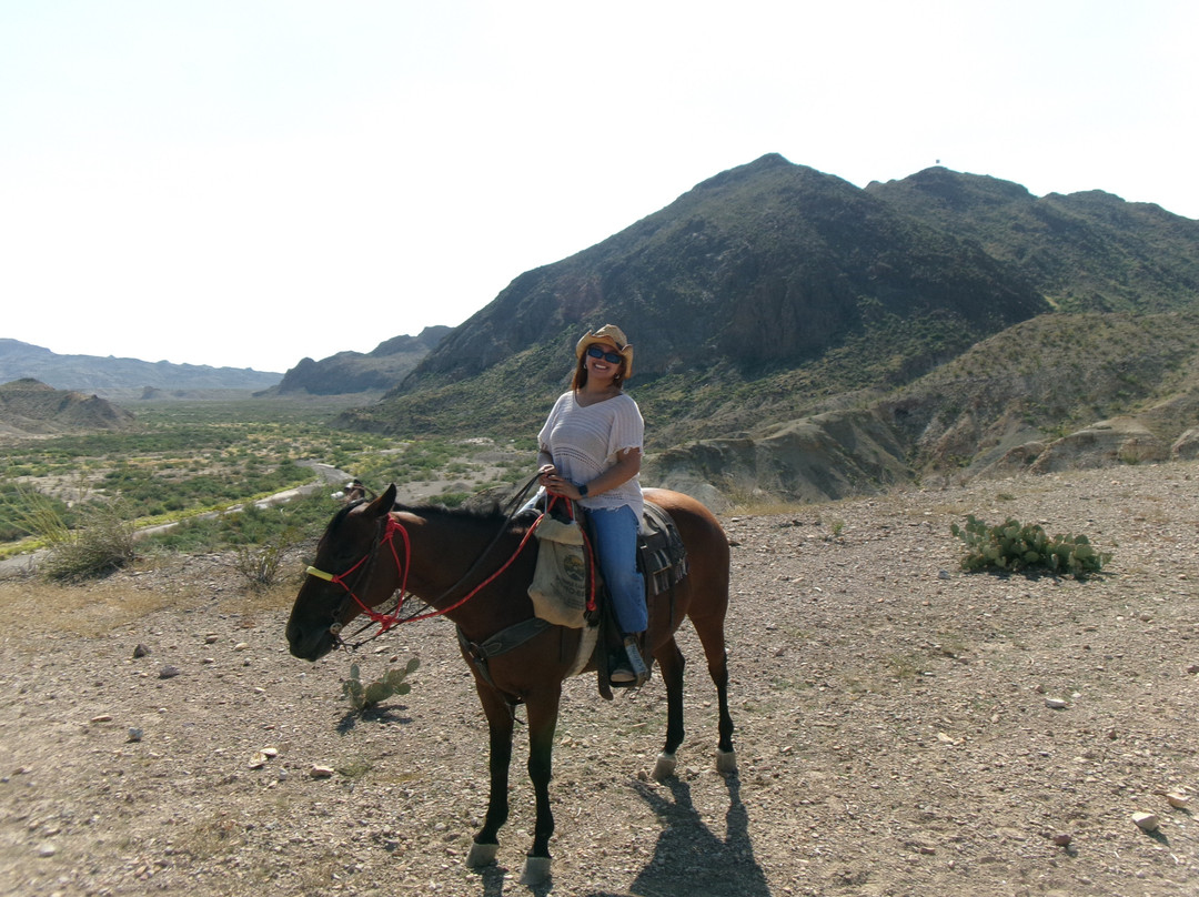 Big Bend & Lajitas Stables-Terlingua必去景点