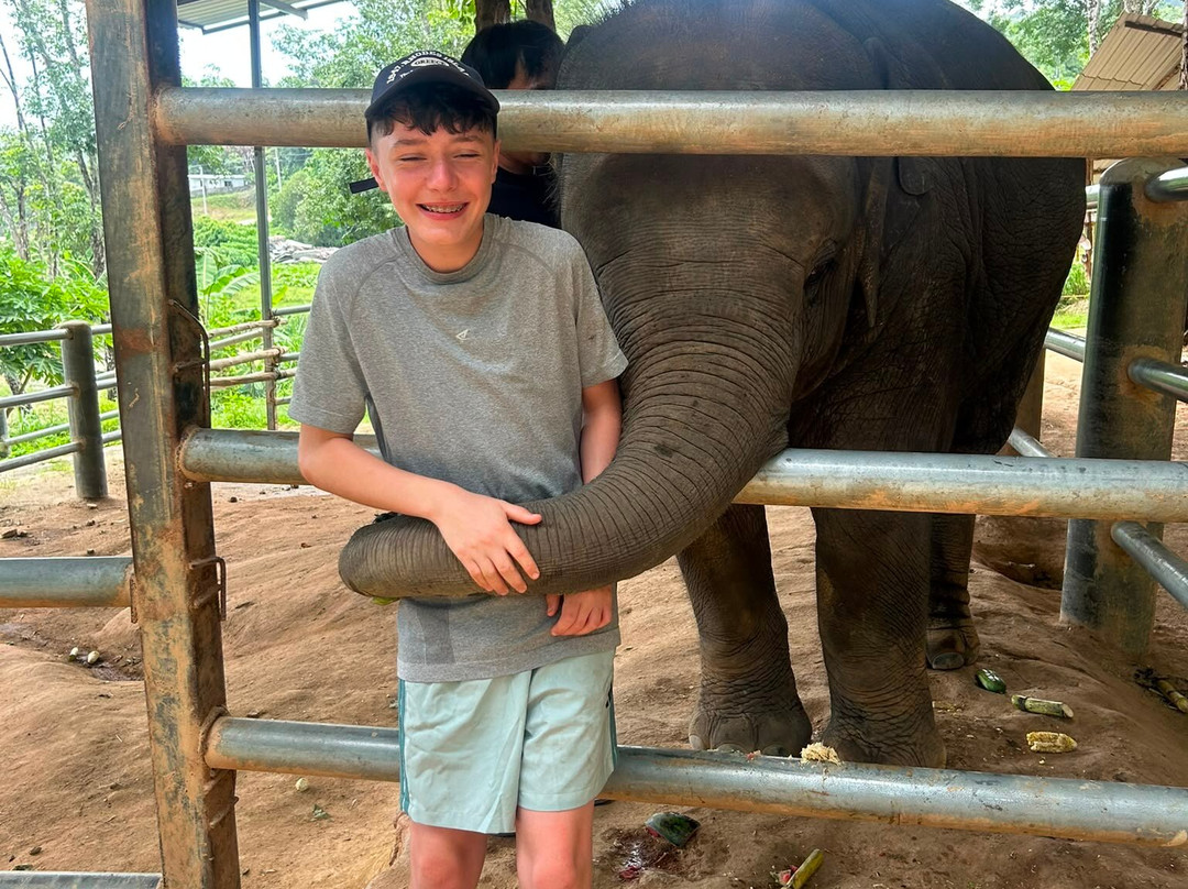 Elephant Care Park​ Phuket​-呈塔累必去景点
