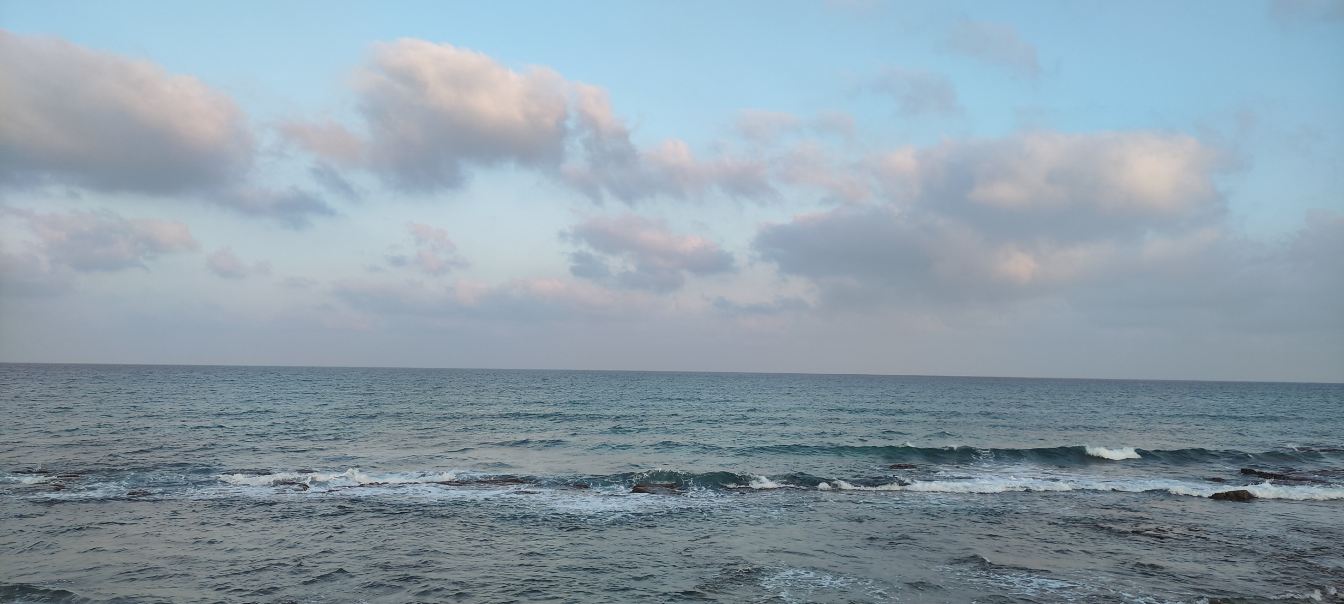 海法莱昂纳多酒店-旅行者