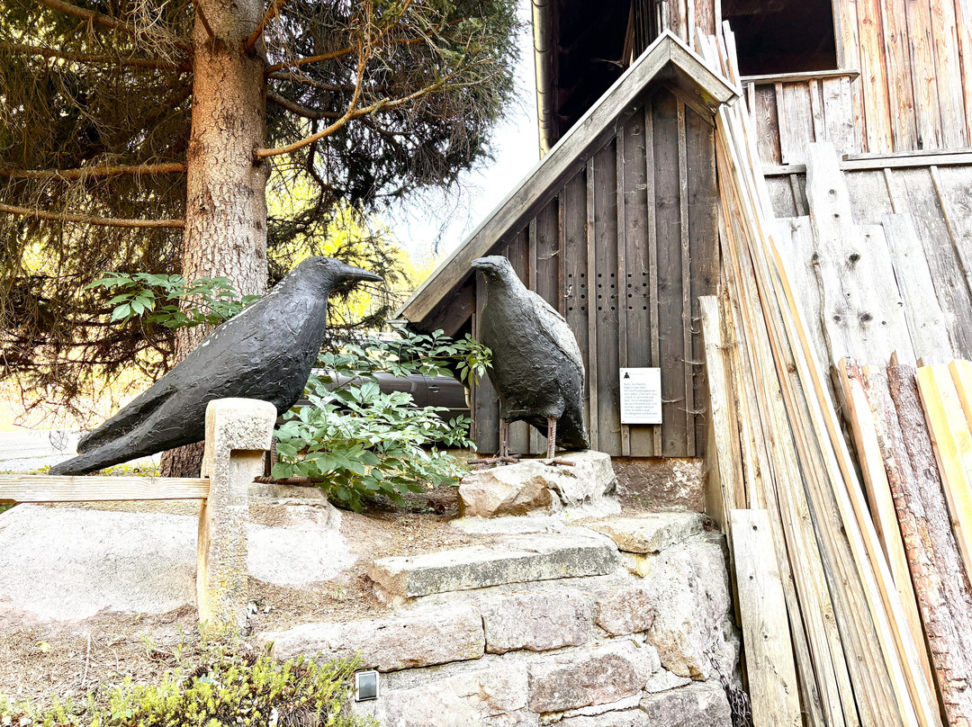 Mönchhofsäge -mühle
