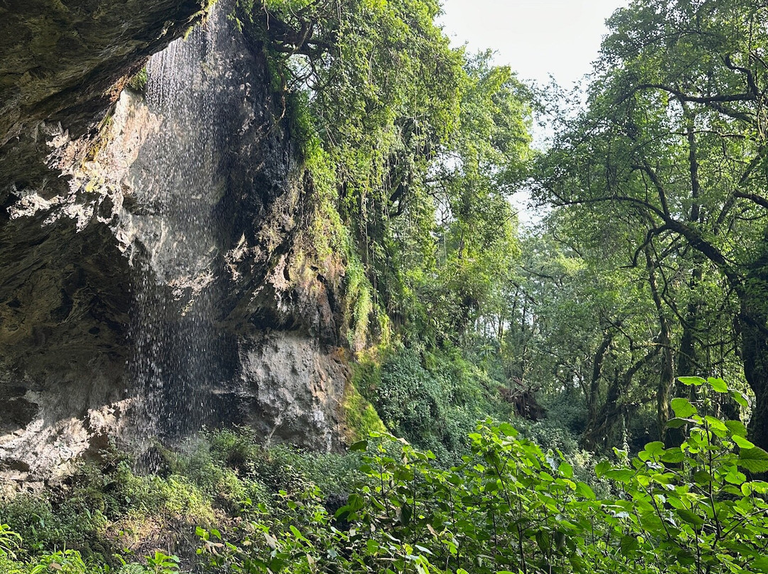 Mount Elgon Trekkers-Kapchorwa必去景点