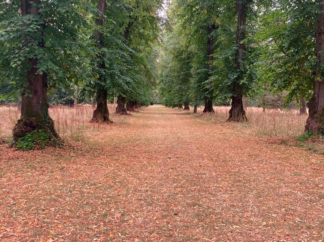 Westonbirt Arboretum-泰特伯里必去景点