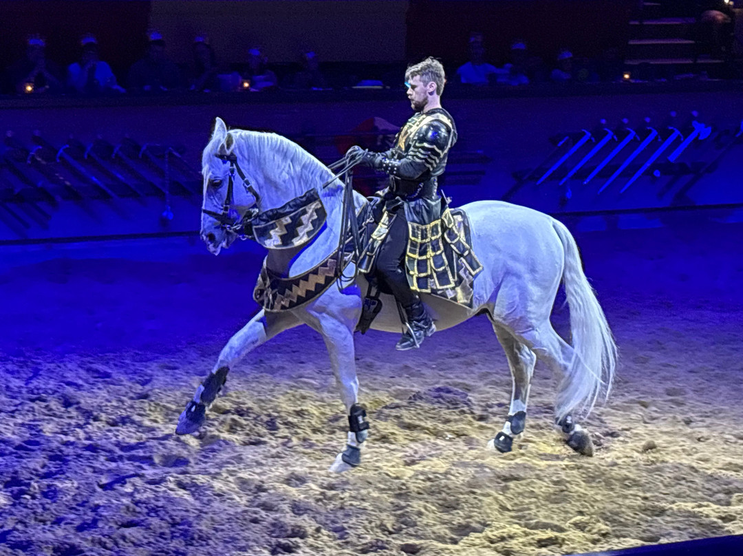 Medieval Times Dinner & Tournament-斯科茨代尔必去景点