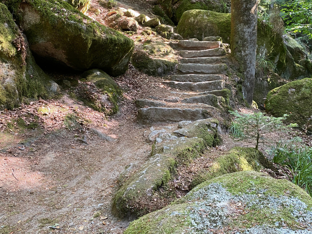 Gertelbach-Wasserfälle-Buehlertal必去景点