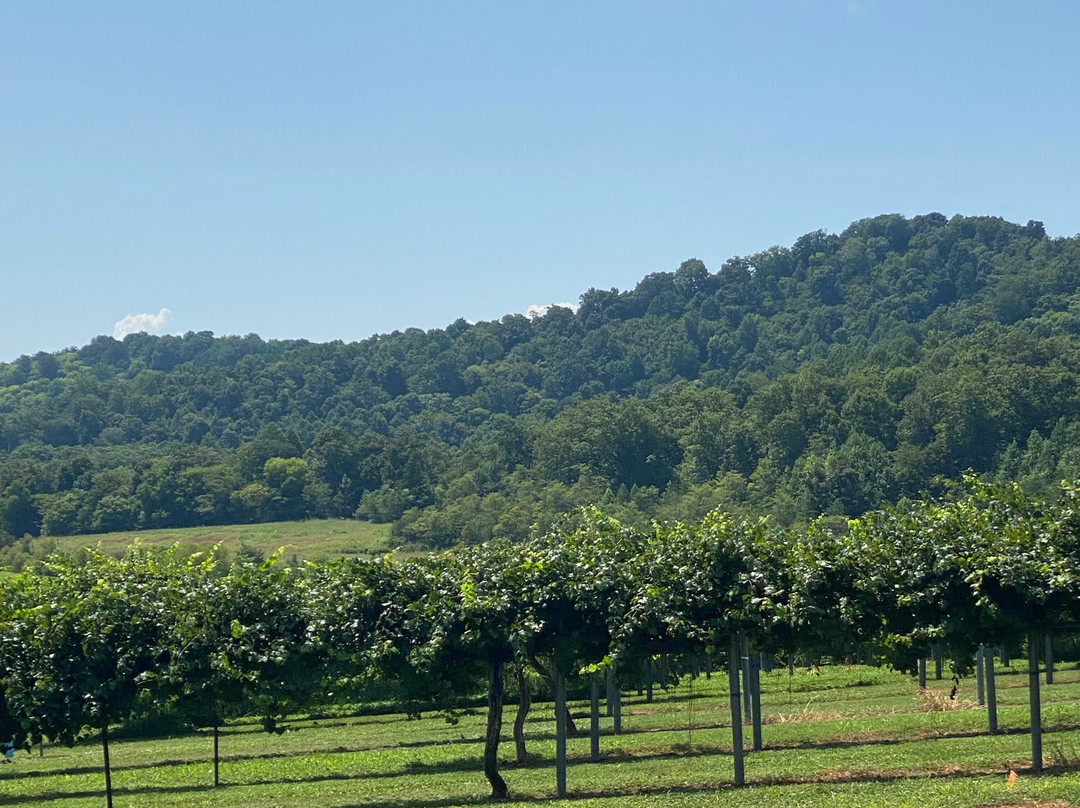 Tsali Notch Vineyard-Madisonville必去景点