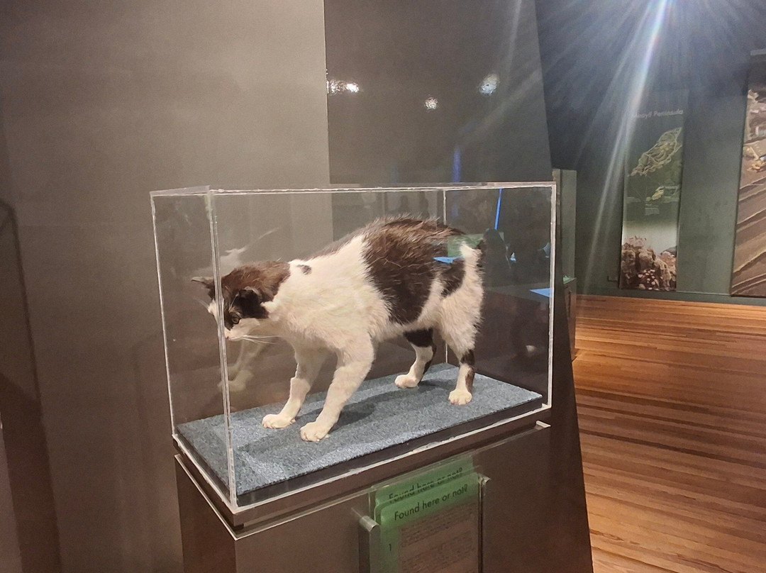 Manx Museum-Douglas必去景点