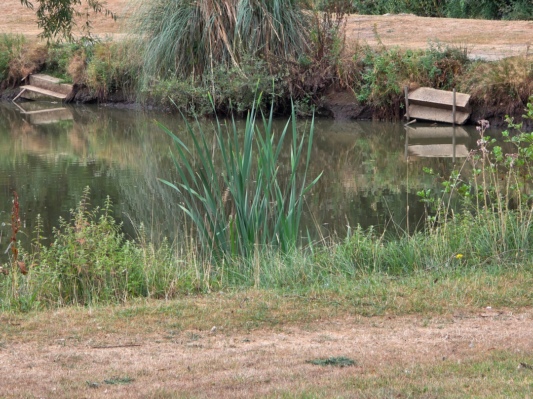 Wold View Fisheries & Leisure Park