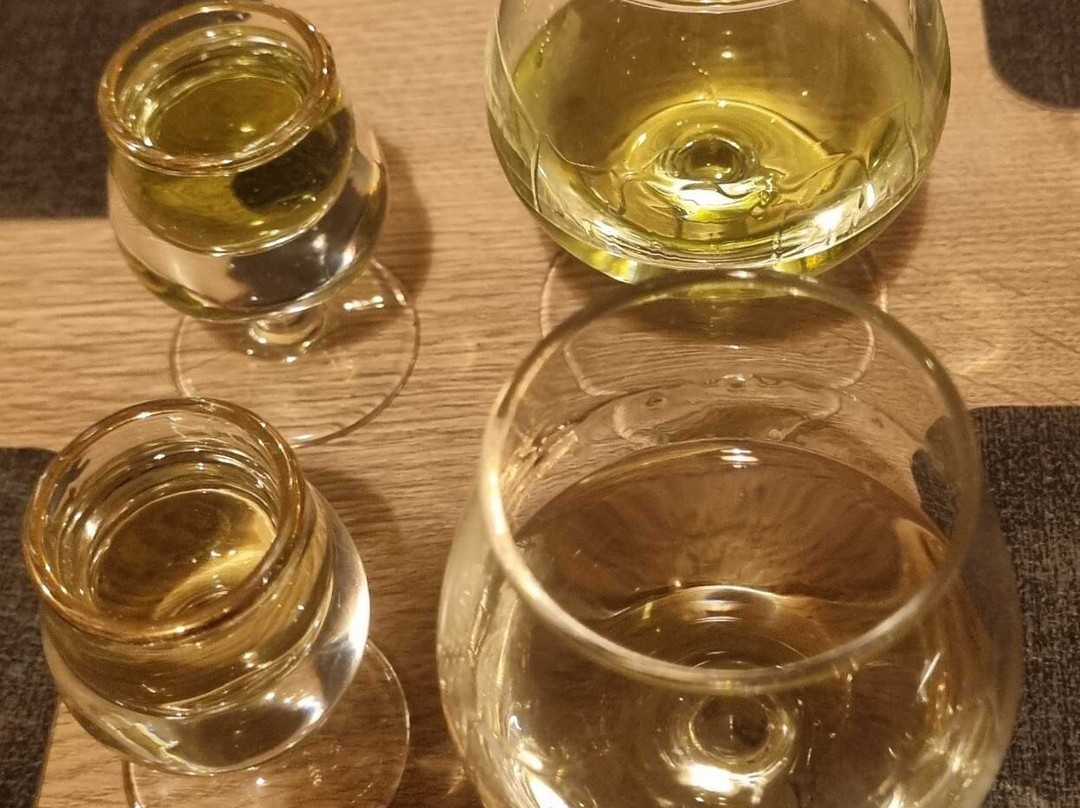 克里斯蒂酒店主图