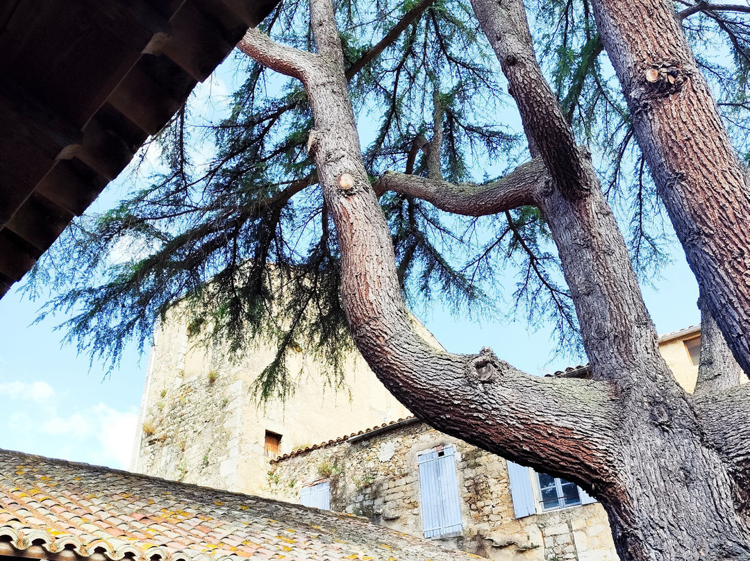 Abbaye Médiévale De Lagrasse, Centre Culturel Les Arts De Lire-Lagrasse必去景点