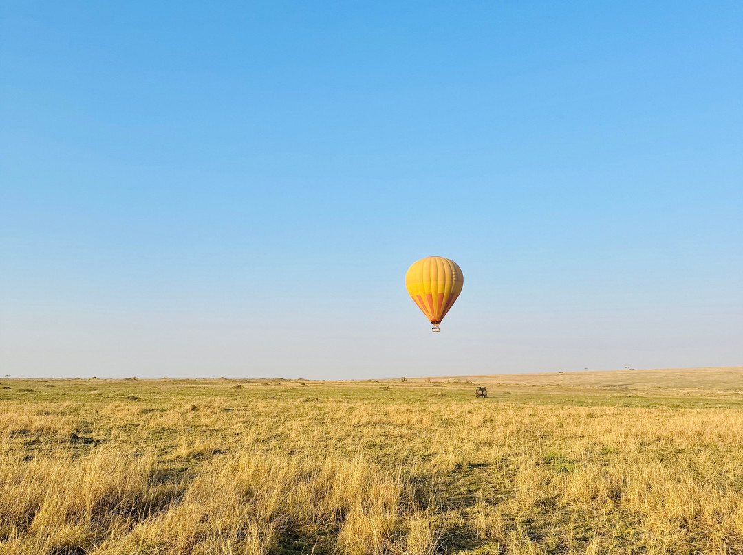 Hot Air Safaris-马赛马拉国家野生动物保护区必去景点