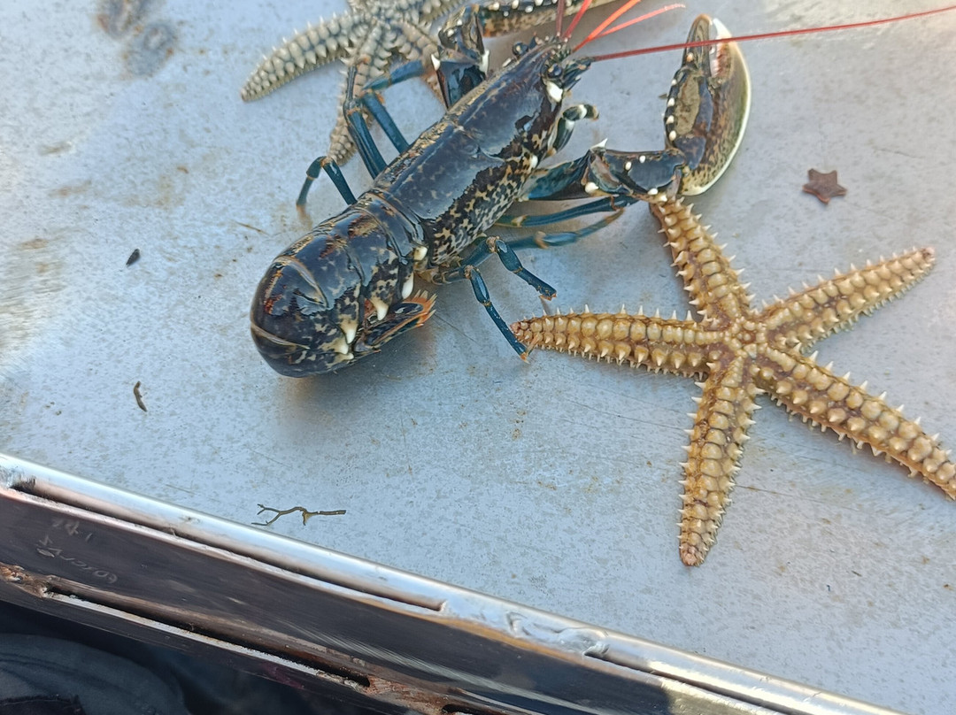 Pesca Turismo Campelo Combarro-Combarro必去景点