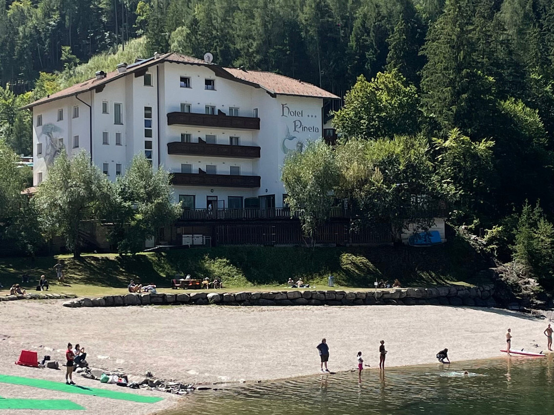 Active Hotel Pineta & Camping主图