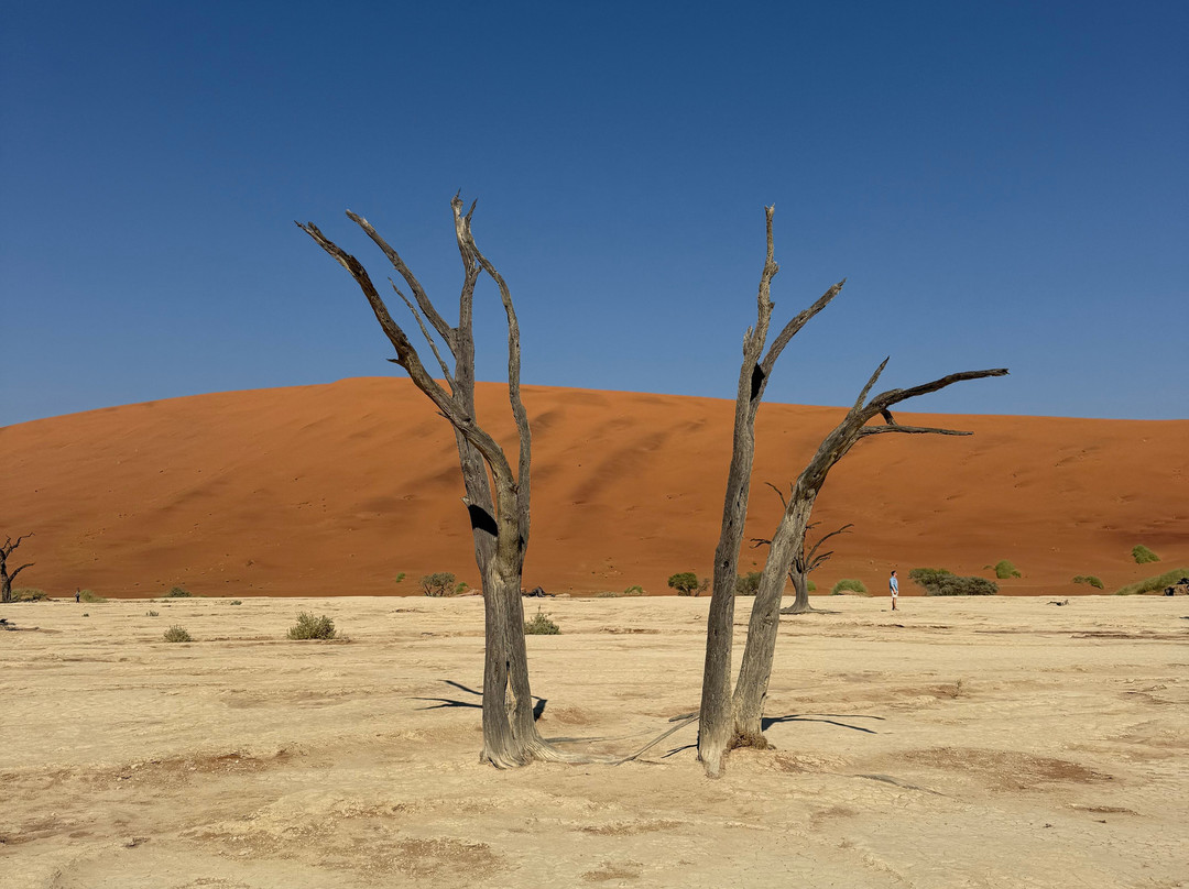 Namibia Tours & Safaris-斯瓦科普蒙德必去景点