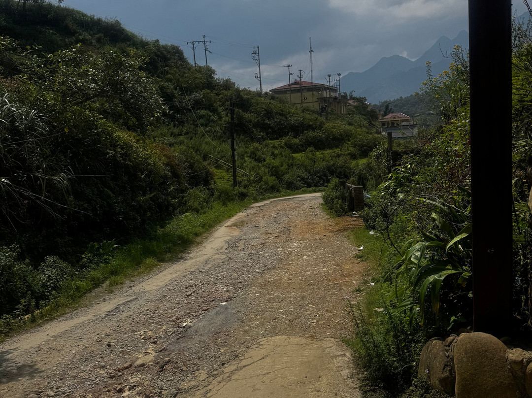 新寨生态旅馆主图