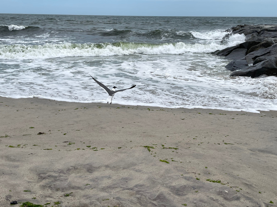 Rockaway Beach-Far Rockaway必去景点