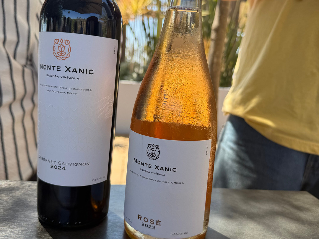 Monte Xanic Bodega Vinícola-Valle de Guadalupe必去景点