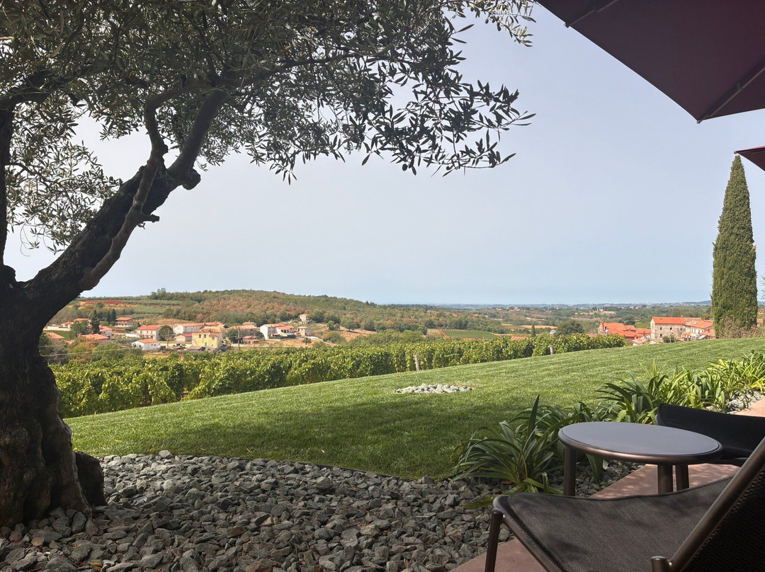 Deklic Winery-Vizinada必去景点