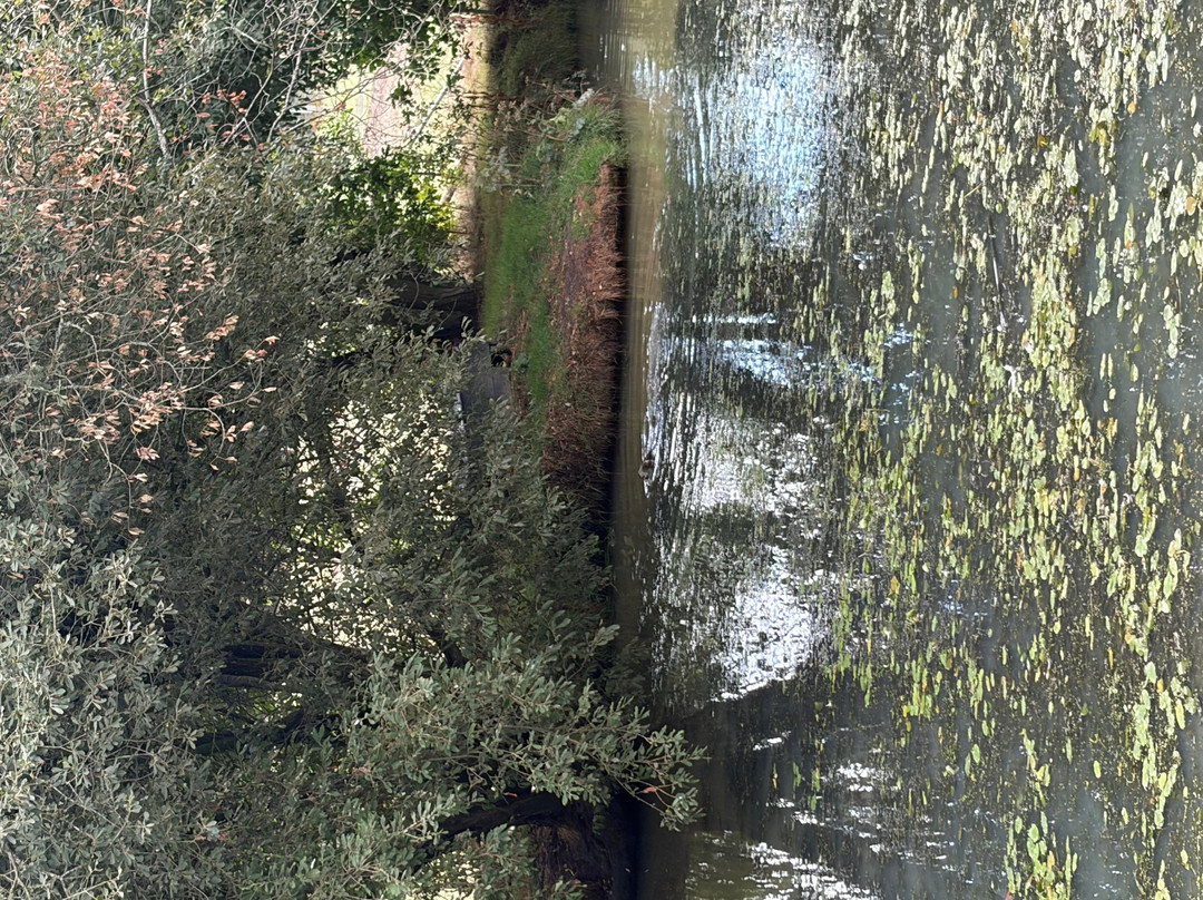 British Wildlife Centre-Lingfield必去景点