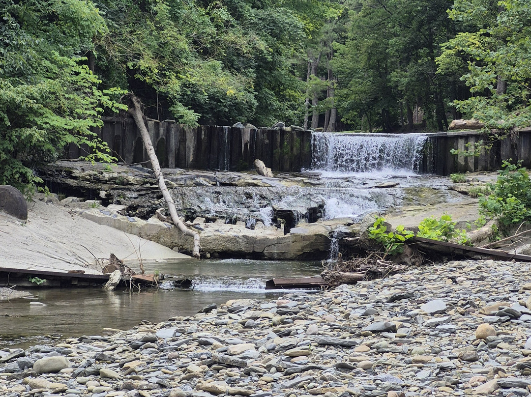Stony Brook State Park-Dansville必去景点