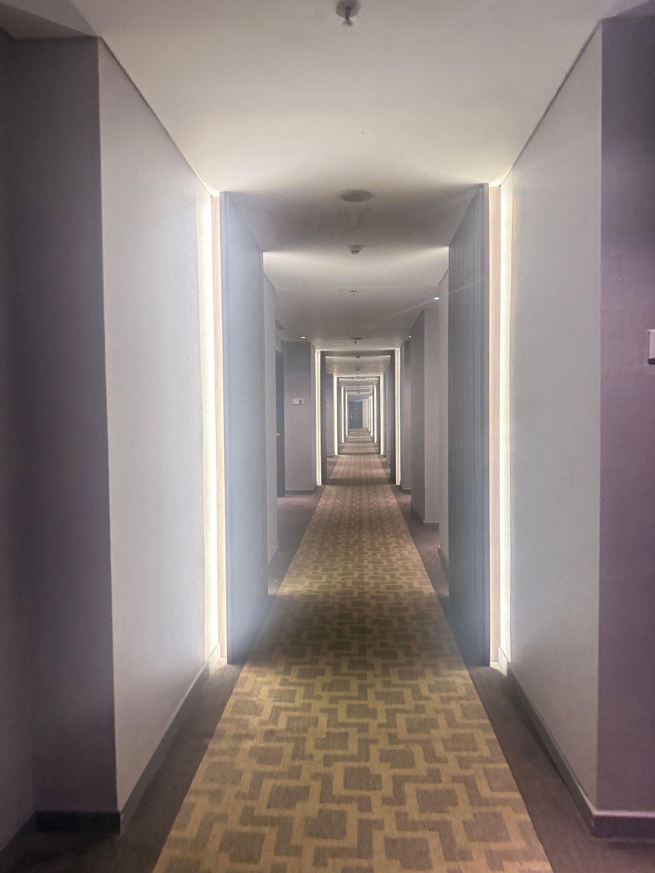 北干巴鲁贾特拉大酒店-旅行者