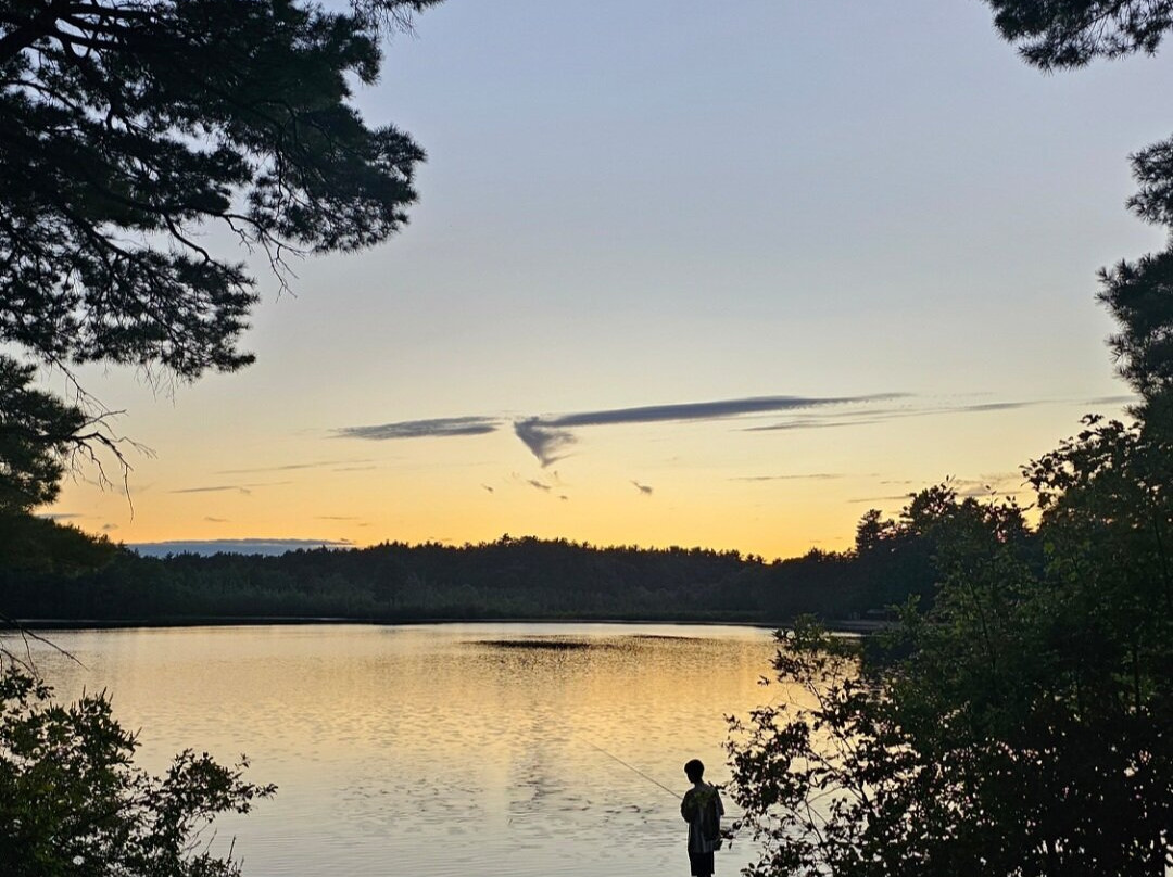 Kingston State Park-Kingston必去景点