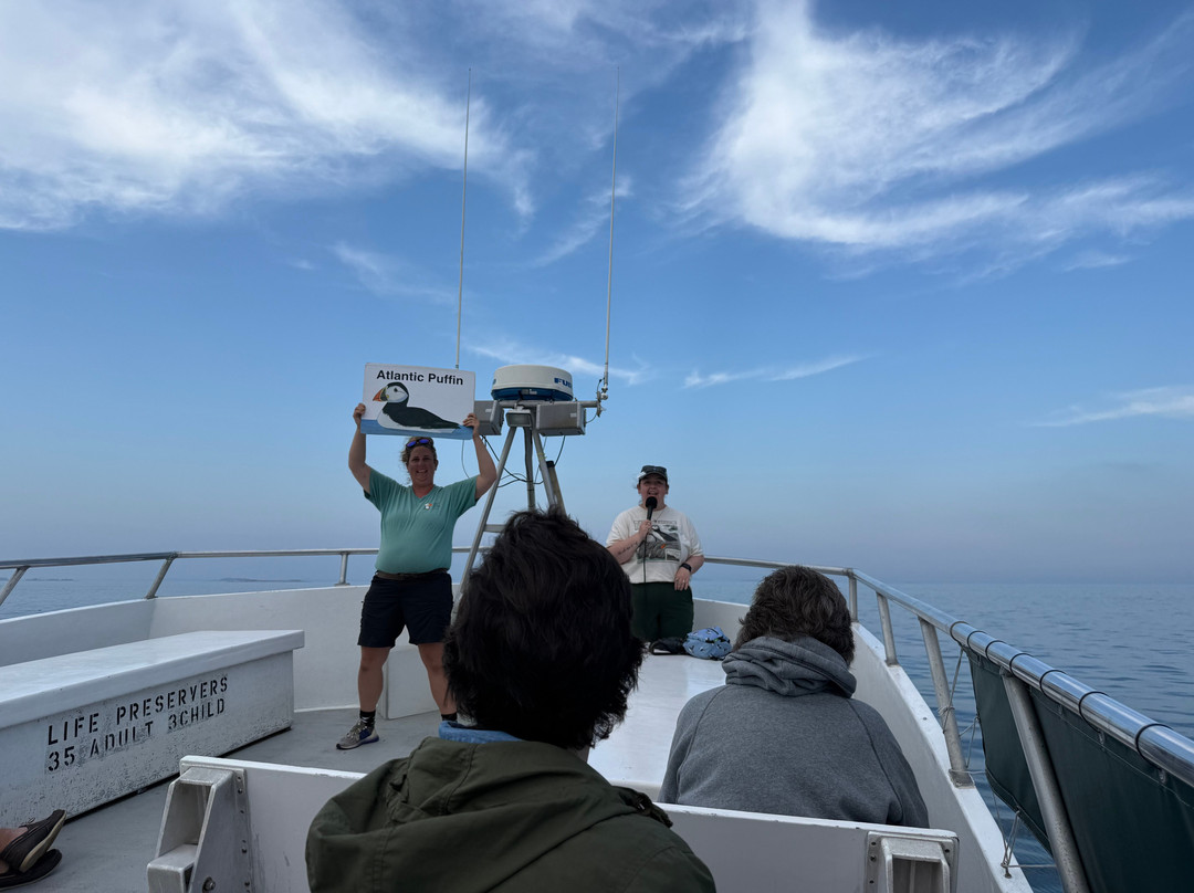 Hardy Boat Cruises-New Harbor必去景点